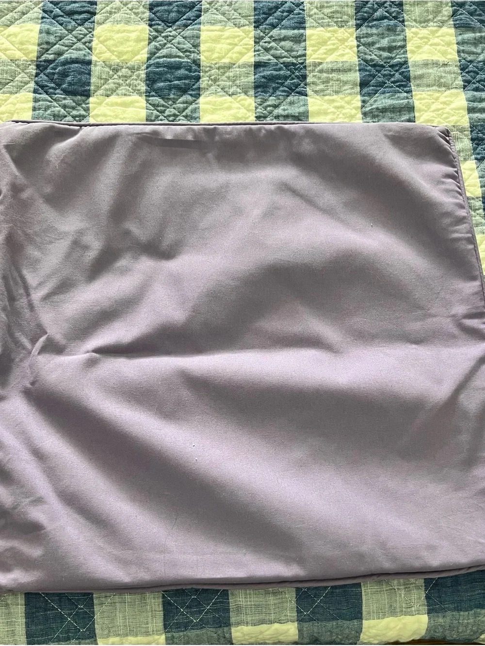 Pottery Barn Teen Lavender Pillow Cover with Cream Trim and 'G' Monogram